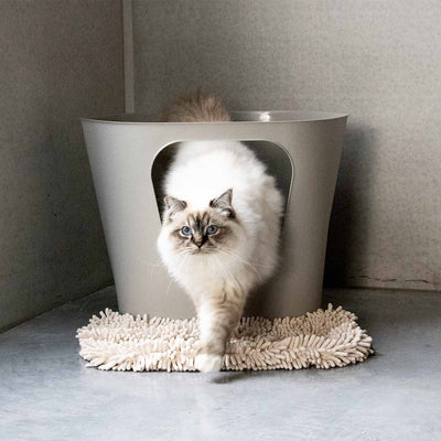 DAISY - Kattenbakmat