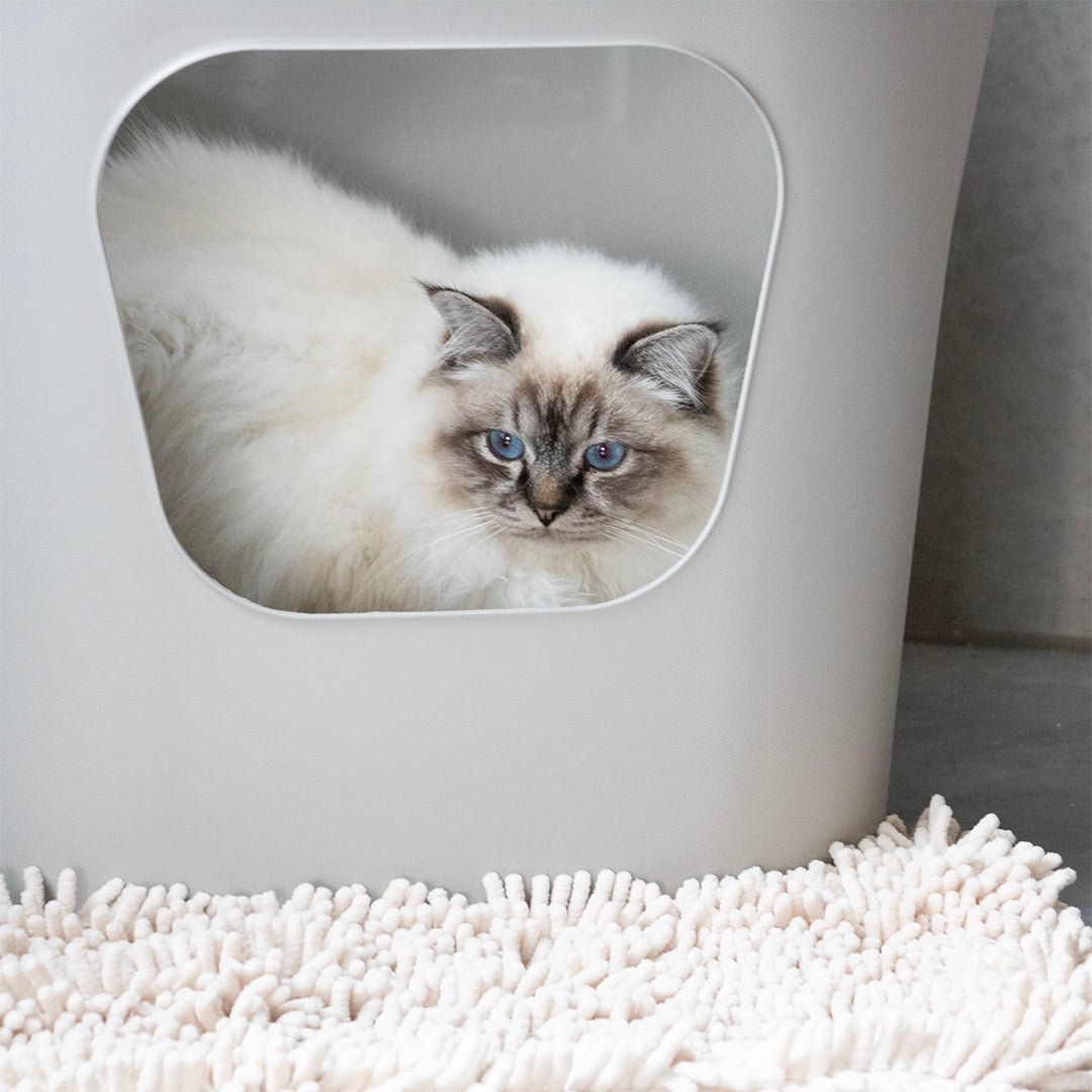 DEAN - Kattenbak